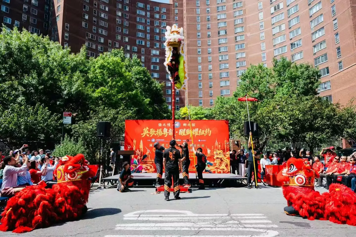 Yingge Drums and Lion Dance Light Up New York's Chinatown — 4